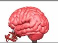Part 3: Hidden secrets from the Ancient past Part 3: Hidden secrets from the Ancient past