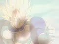 Dragon Ball Z Vegetas Life