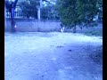 Videos 2