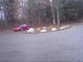videos de MY 97 TALON TSI