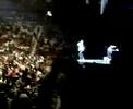 Common- Mohegan Sun 2