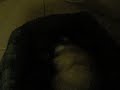 DSCN3340