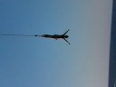 Amy bungee jumpen Amy bungee jumpen