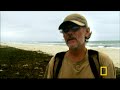 Gabon: The Last Eden Gabon: The Last Eden