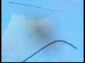 Ovnis en Paraguay Parte-4