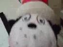 Cat in the hat show episode 1