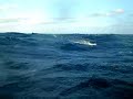 Starmarine K 8 avec dauphins : les videos voile