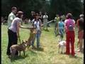 Bulldog show 2008 - mojliptov.sk