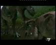 Le stronzate che trasmettono in TV, Oggi siamo all' epoca...