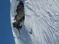 World Freeride citadin tour