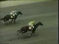 Forego - 1976 Marlboro Cup Recap