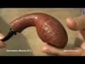 pipa Cornelius Maenz 013 - smoking pipe
