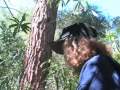 The Kidz - Island Of Seals, episode 1, part 1 of 3 The Kidz - Island Of Seals, episode 1, part 1 of 3