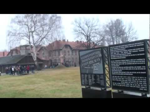how to get to auschwitz from krakow by train