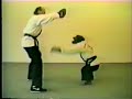 La fureur du chimpanz�