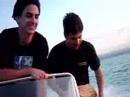 chilin-in-adana-2.html
