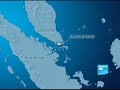  France 24 report singapore formula one grand prix race