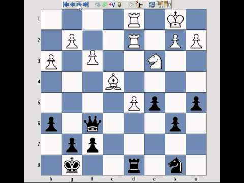 instant checkmate