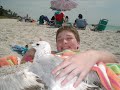 How To Catch A Seagull.