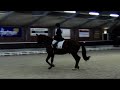 Renske en Scotch 8ste in Lonneker