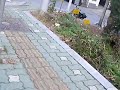 RoadTestonTmax4_Beatinus_bikeNsound.MP4