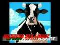bigg l khater !!!!!(maroc hta l mout bzz mnk )