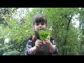 Elsie Williams - Faerie Detective