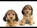 zulazone5.flv