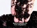 programa mulheres   horta  semi orgânica parte 2 de 4
