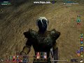Everquest 2 gameplay