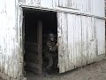 Ostfront (part 4 of 4)