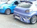 terronata dallo scarico di una 206