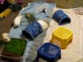 videos de Frick-Flora-Snow-01