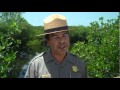 Big Cypress National Preserve - YouTube