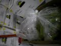 CIMG0544.MOV