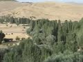 SavranKasabasi Afyon Hisardan 2006 Cekim 2 SavranKasabasi Afyon Hisardan 2006 Cekim 2