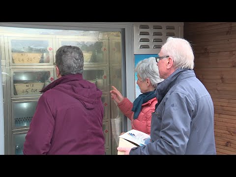 Image de prévisualisation YouTube