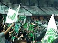 Virtus Roma- Panathinaikos 500 G13 Fans in Rome SHOW! - Thumb #3