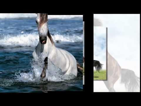 Imagen de previsualización de YouTube