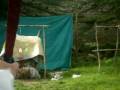 videos de Compagnia arcieri ENNA