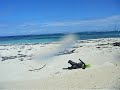 Restricted beach at vieques