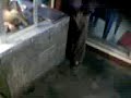 this dog is cooked and ready to dish!video has been recorded in china,zhanjiang gang