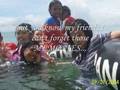 videos de CRSHS Lavosmartz 07-08