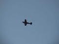 Hangar 9 P-40 Warhawk Maiden Flight
