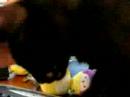 spritle-meets-the-world.html