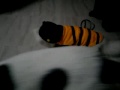 Tacchon: cosplay de Yasu