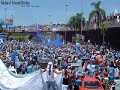 Torcida Gr�mio Imortal