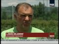 BOROVNICA NOVI IZVOZNI PROIZVOD