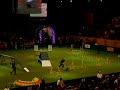 Crufts 2008 - Best in Show - Agility