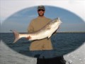 red fishing